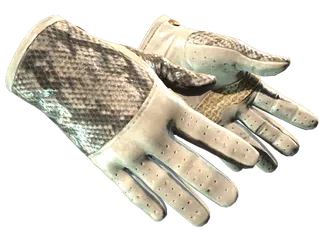 ★ Driver Gloves | King Snake (Minimal Wear)
