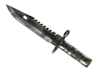 ★ M9 Bayonet | Scorched (Well-Worn)