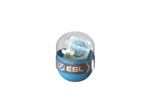 EMS Katowice 2014 Challengers