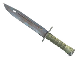 ★ Bayonet | Rust Coat (Well-Worn)